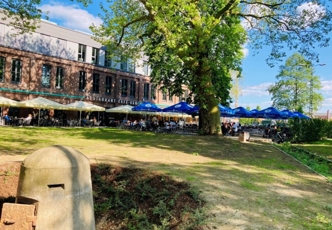 Gallodini, Neue Bahnstadt Opladen