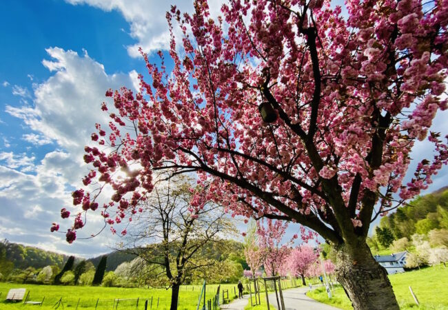 Das Tor zum Bergischen Land
