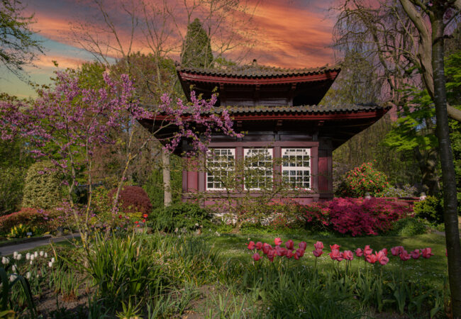 JAPANISCHER GARTEN