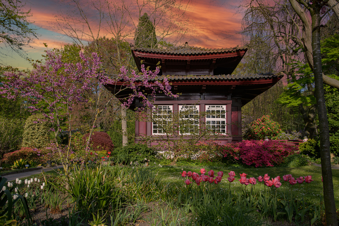 Stadtrundfahrt. Gärten und Parks.