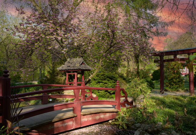 Japanischer Garten,  CITY LEVERKUSEN