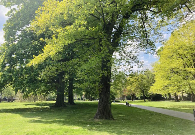 Erholungspark, City Leverkusen