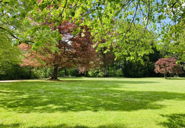 WUPPERMANNPARK, SCHLEBUSCH