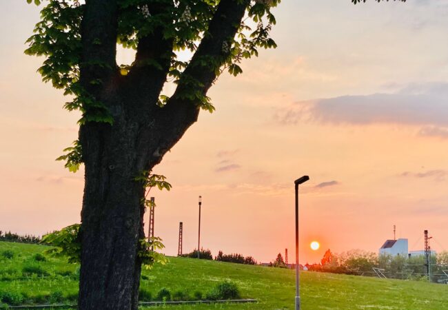 Wir für Leverkusen e.V. – Leverkusener Löwe, Stadtrundfahrten & Heimatliebe