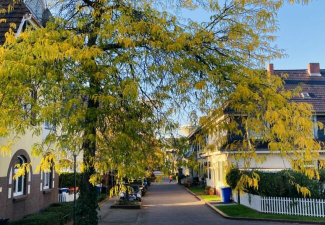 Gästeführer:innen Leverkusen und Bergisches Land – Geführte Touren