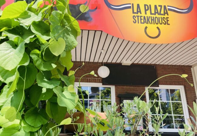 La Plaza, Opladen