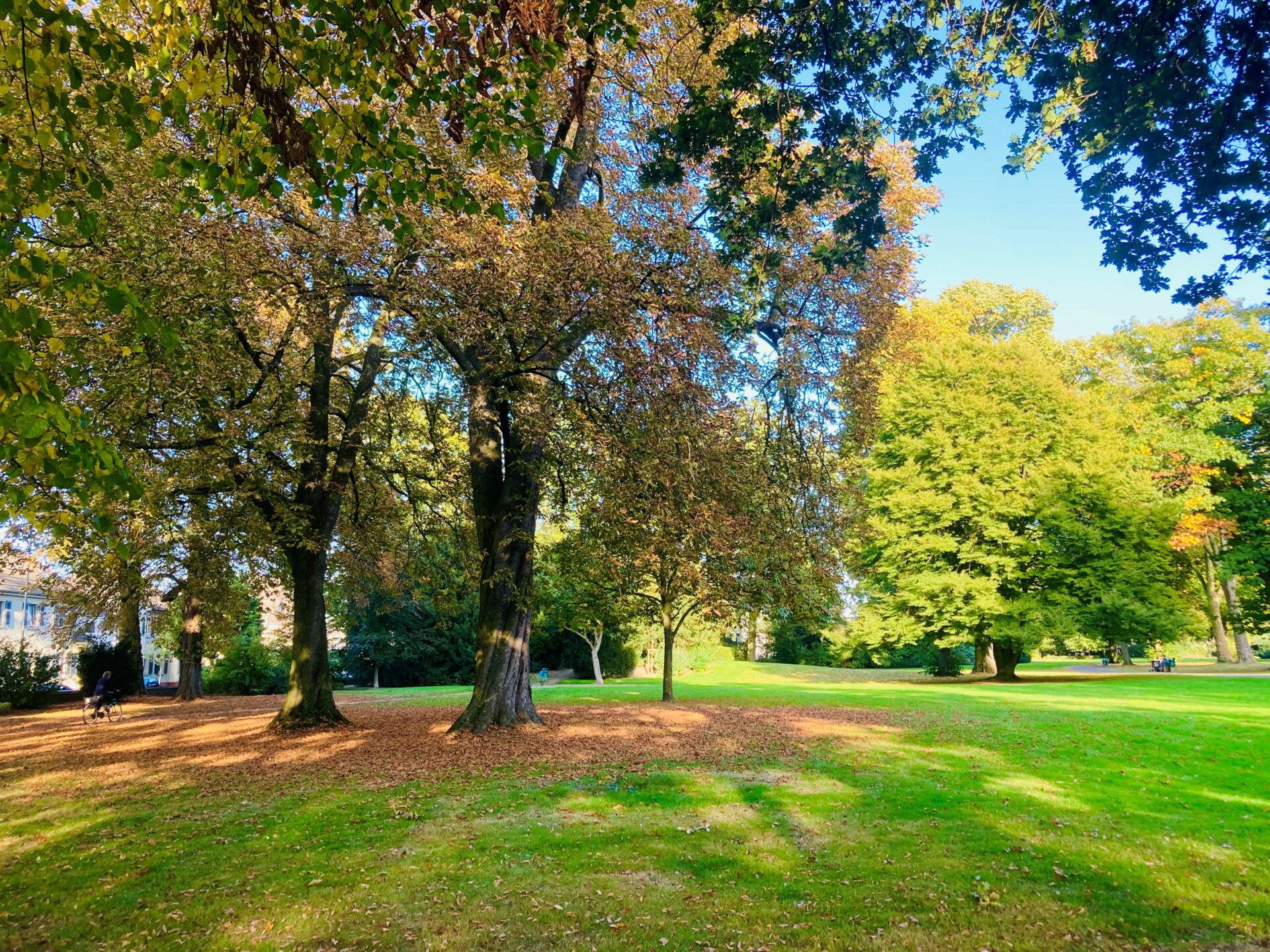 39. Koloniefest im Erholungspark