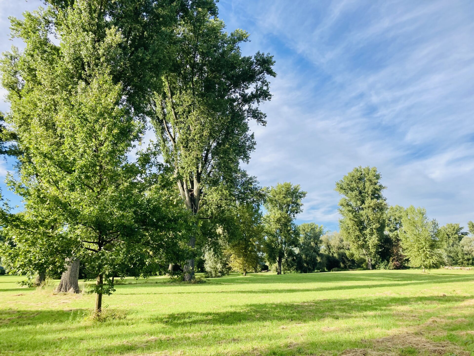 Mittwochserlebnistour Leverkusen