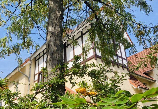 Leverkusen-Kult-Tour – Visuelle Stadtführungen