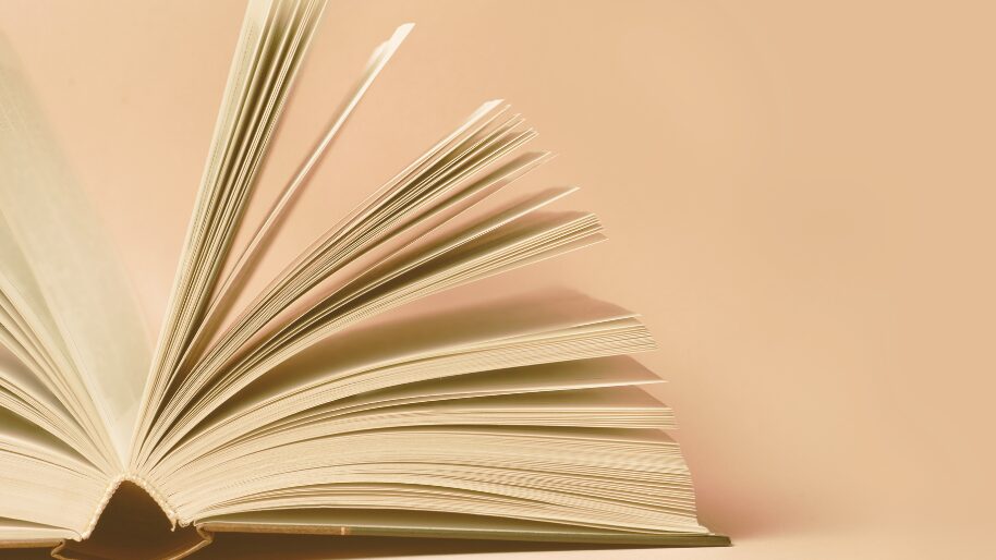 EntSCHULDigung & VerANTWORTung. Krimilesung.