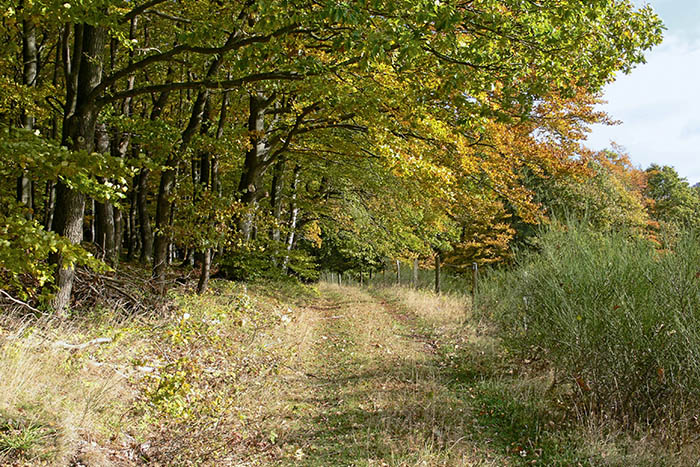 Naturerlebnis Hitdorf